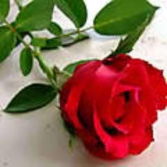 ChaffaMohammed's profile picture. Marocco