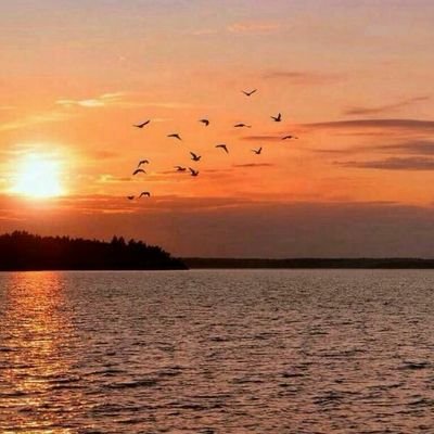 نستغفرك ربيّ من كل نية سيئة جالت في صدوُرنا ومن عمل
تضيق به قبورنا ،
نستغفرك ربنا ونتوب إليك
منعآلﻹحراج لاابادل اصحاب الصور النسائيه
