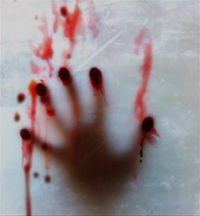 Shintarillo's profile picture.