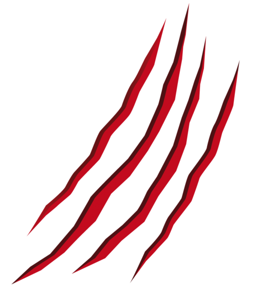 numafishing's profile picture. - Predators is more than a magazine, than a media. 
It's the pure fishing spirit...