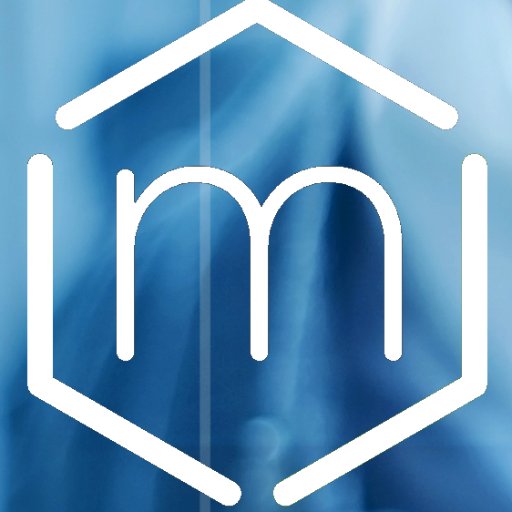 Encompassing all your IT, Management, SEO, and SMM needs.