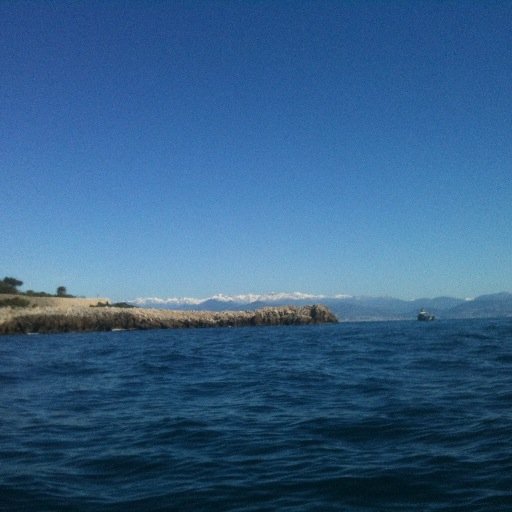 bendantibes's profile picture. en lutte pour renverser la table, de temps en temps perdu en mer, vive toutes les luttes!  #FollowBackFrontPopulaire #FrontPopulaire