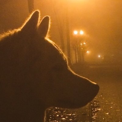 Taddmanさんのプロフィール画像