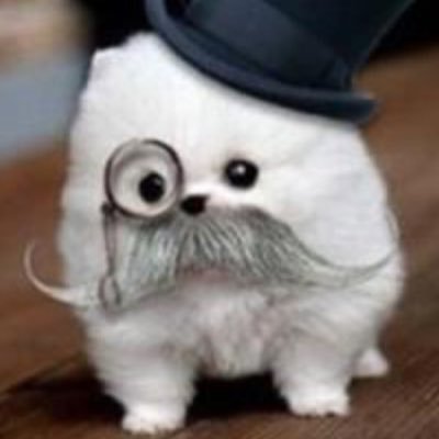 Raityu727's profile picture. PSO2始めました(*´ω`*)8鯖でやってます会ったらﾖﾛ(｀・ω・´)ｽｸ！