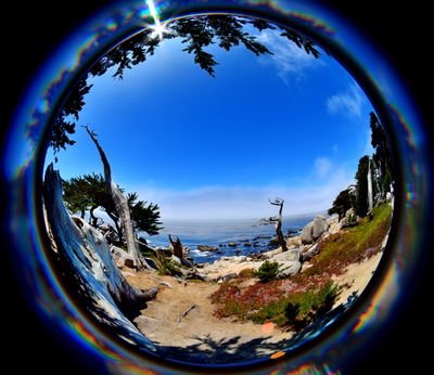 PermDimas's profile picture. 