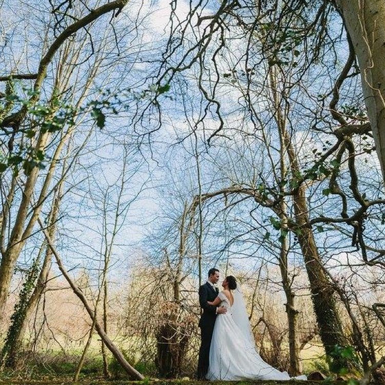 ShereneaBean's profile picture. 