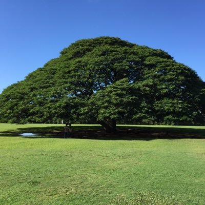 ゴルフ サーフィン 車 野球 大好き