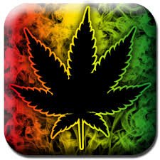 All Cannabis Related Content