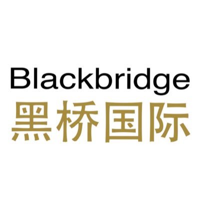 Blackbridge is a football & sports investment boutique.