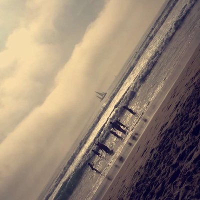 CatDeutsch's profile picture. 