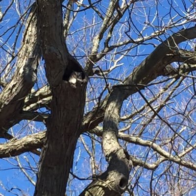 jdhconcc11's profile picture. 