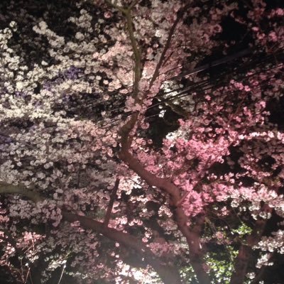 26yukko79's profile picture. 