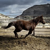 Out of the WildMOVIE (@outofthewildm) 's Twitter Profile