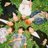BTS0613_fourth's profile image