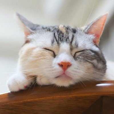 dataa2012's profile picture. 데이터 사고 팔아요.