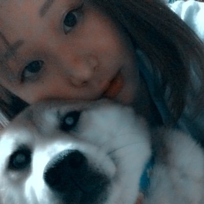 ( ˘ω˘ ) ｽﾔｧ…さんのプロフィール画像