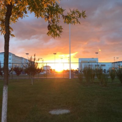 Feng281849872's profile picture. 