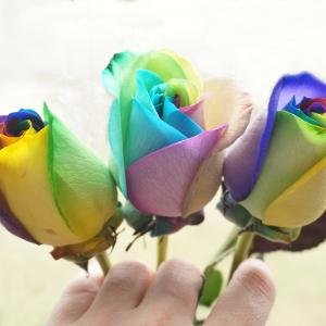 lrthreads's profile picture. talking/retweeting about fandom, reading, sports; occasional politics grumping; subject to snark and sarcasm