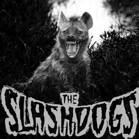 The Slashdogs