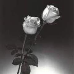 RosaGrisOscuro's profile picture. Amiga, soñadora, y sobre todo enamorada de la #lectura #Lectora #MeGustaLeer