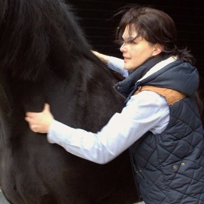 (sport)massage bij paard en hond, paraveterinair, kynologisch gedragstherapeut