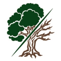 Musician. Gamedesigner. Lorewalker. Tree of Life (ru/en)