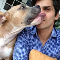 Blas Falconer (@blas_falconer) 's Twitter Profile