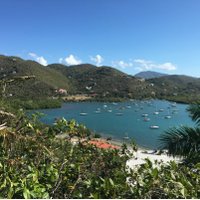 Dyan Ebert (@dyanebert) 's Twitter Profile Photo