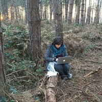 Diane Shorthouse (@dianeshorthouse) 's Twitter Profile