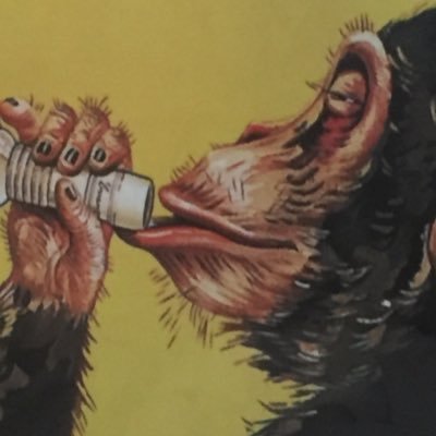 DrunkinMonkies's profile picture. Monkey Monkey Monkey