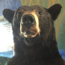 Tweeting photos from western Maryland and region. Things to do and see.