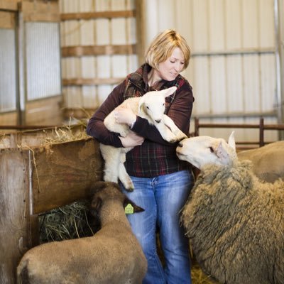 FellerSheep's profile picture. sheep farmer. border collie lover. gardener. knitter. soap maker