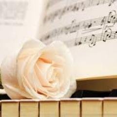 ShaneShiane's profile picture. 