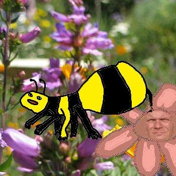 scrambledhecks's profile picture. 