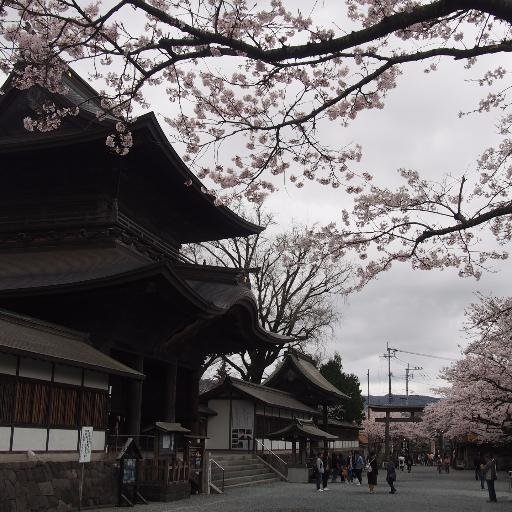 熊本地震に負けず、阿蘇の旬な情報を発信していきます。がんばる県くまもと。阿蘇へ遊びにきてくださいね♪
大自然が待ってます！