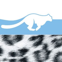 Dedicated to conserve viable population of snow leopards and other wild carnivores as an integral part of landscapes across Pakistan.