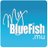 BlueFish eMarketing