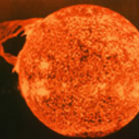 LAVA (@lavatransforms) 's Twitter Profile