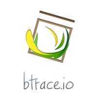 BTrace.IO (@btraceio) 's Twitter Profile Photo