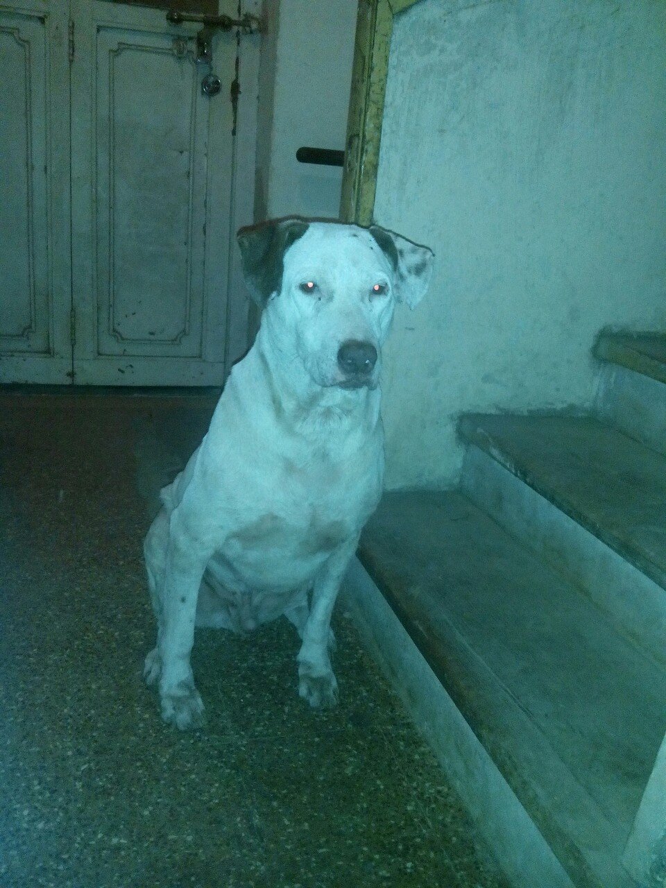 Prerupp's profile picture. 🩺🌹