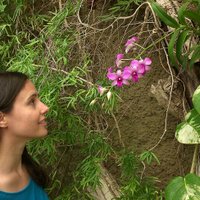 Phillipa Thomas (@phillipamezzo) 's Twitter Profile