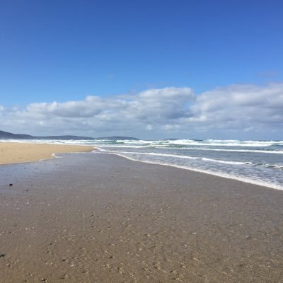 Chokinho_da_ria's profile picture. Extraterrestre extraviado 🧬🔬🧪⚛️