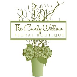 curlywillowfb Profile Picture