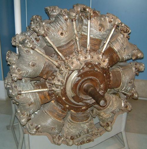 NK9B's profile picture. 