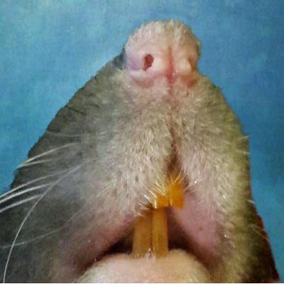 jessiqfail Profile Picture