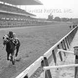 Official Track Photographer for NYRA & GulfstreamPark. To purchase images, please contact acoglianese@mac.com (GP) or acoglianese@nyrainc.com (NYRA/other).