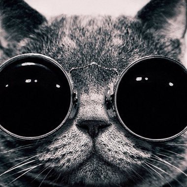 LewissmitLewis's profile picture. https://t.co/mLkUy2aULC         subscribe to my youtube