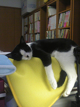 神戸万知 Machi GODO Profile