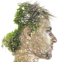 NHS-Adult ADHD & ASD (@autism_adhd) 's Twitter Profile