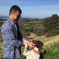 T.C.Mehmet DALAGAN (@mehmetdalagan) 's Twitter Profile